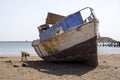 Stray dog Ã¢â¬â¹Ã¢â¬â¹walks next to an old crooked fishing boat, on the city beach of Praia, island of Santiago, Cape Verde, Cabo Verde Royalty Free Stock Photo